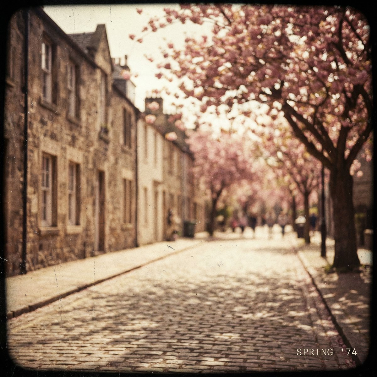 糖心Vlog春日樱花复古摄影视频教程